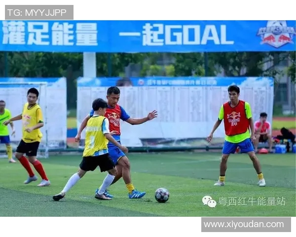 深圳篮球队耐力变革引发热议球迷期待新赛季表现提升